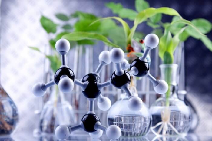 Bioteknologi Modern Dan Contohnya Bioteknologi Modern Dan Contohnya