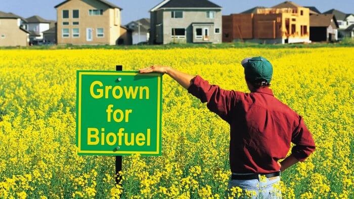 Sumber Energi Alternatif Biofuel