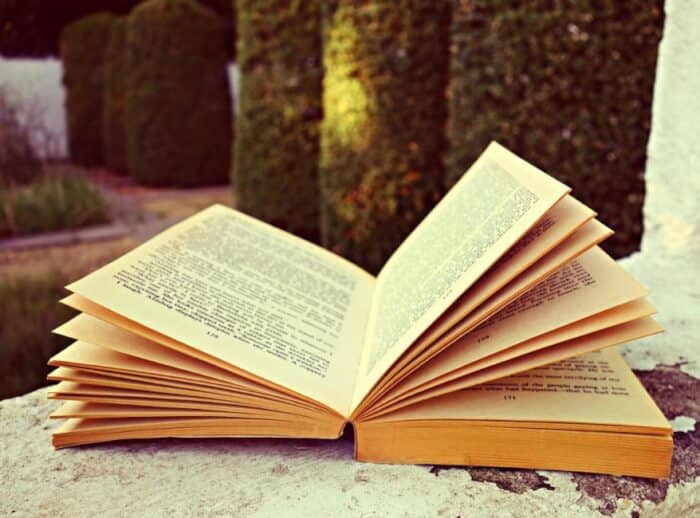 5 Contoh Kalimat Kompleks Contoh Resource