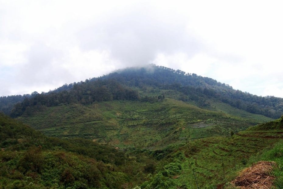 Gunung Bukit Tunggul Thegorbalsla