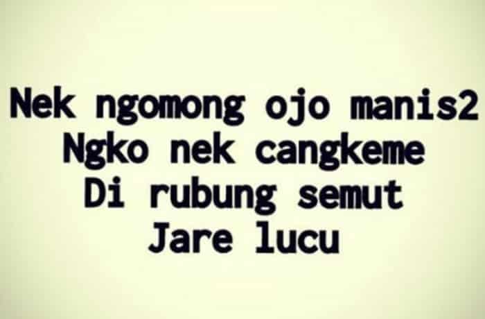 33 Kata Kata  Selamat Pagi Bahasa Jawa Dan  Artinya  Kata  