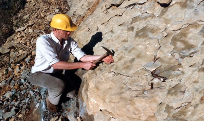 Contoh Daftar Riwayat Hidup Geologi Contoh Daftar Riwayat Hidup Geologi