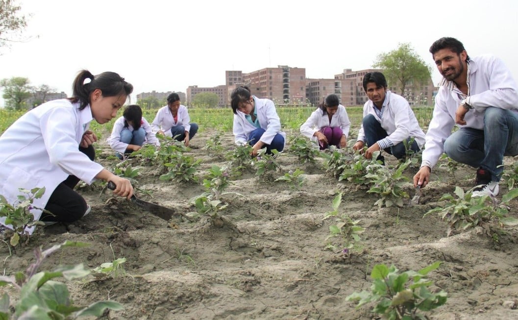 Jurusan Kuliah Pertanian - Thegorbalsla