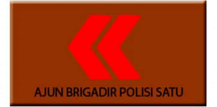  POLRI atau kepanjangannya adalah Kepolisian Republik Indonesia 22 Urutan Pangkat Polisi dari Terkecil Sampai Terbesar (Lengkap)