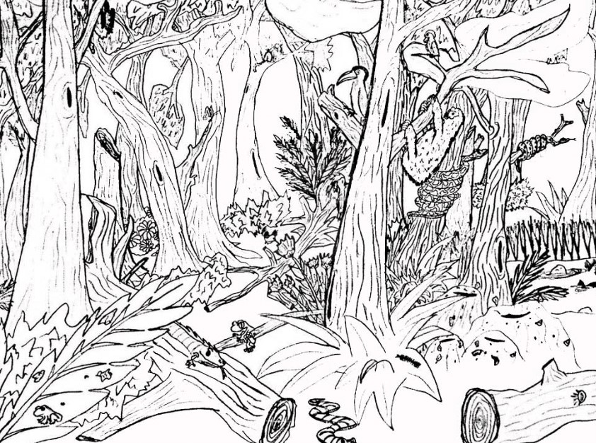 gambar sketsa hutan - Thegorbalsla
