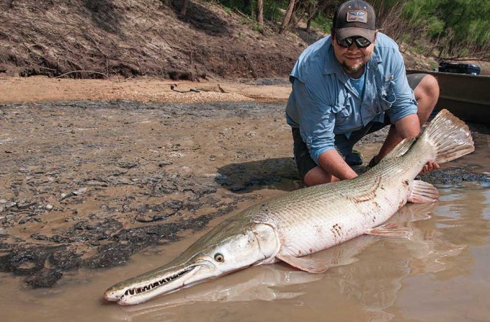  Ikan merupakan salah satu hewan yang memiliki banyak spesies di dalamnya 30 Jenis Ikan Hias Air Tawar dan Laut yang Terpopuler di Dunia !