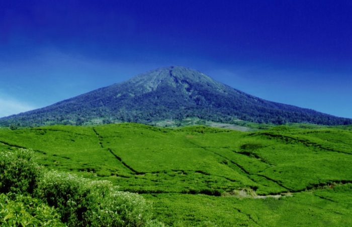  Indonesia merupakan salah satu negara yang memiliki banyak gunung berapi 45 Gunung Tertinggi di Indonesia yang Wajib Kamu Daki (Rekomended)