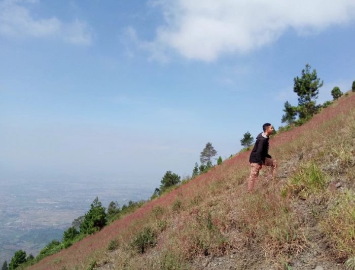  Indonesia merupakan salah satu negara yang memiliki banyak gunung berapi 45 Gunung Tertinggi di Indonesia yang Wajib Kamu Daki (Rekomended)