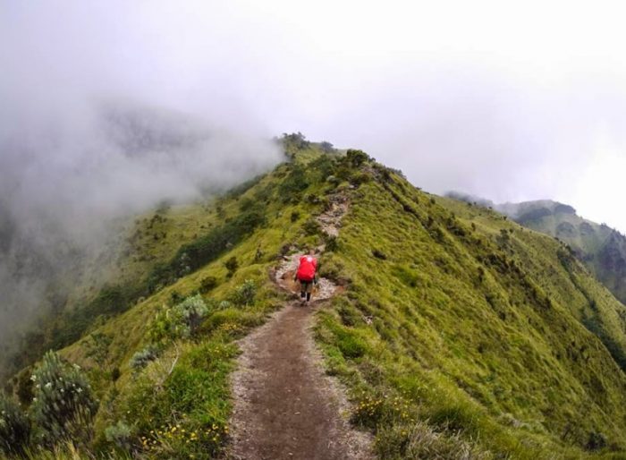  Indonesia merupakan salah satu negara yang memiliki banyak gunung berapi 45 Gunung Tertinggi di Indonesia yang Wajib Kamu Daki (Rekomended)