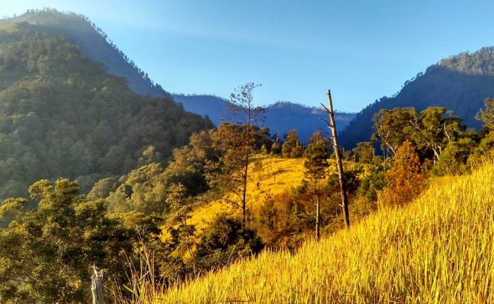  Indonesia merupakan salah satu negara yang memiliki banyak gunung berapi 45 Gunung Tertinggi di Indonesia yang Wajib Kamu Daki (Rekomended)