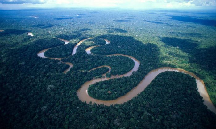 Amazon adalah sungai terpanjang kedua di dunia yang panjangnya yaitu