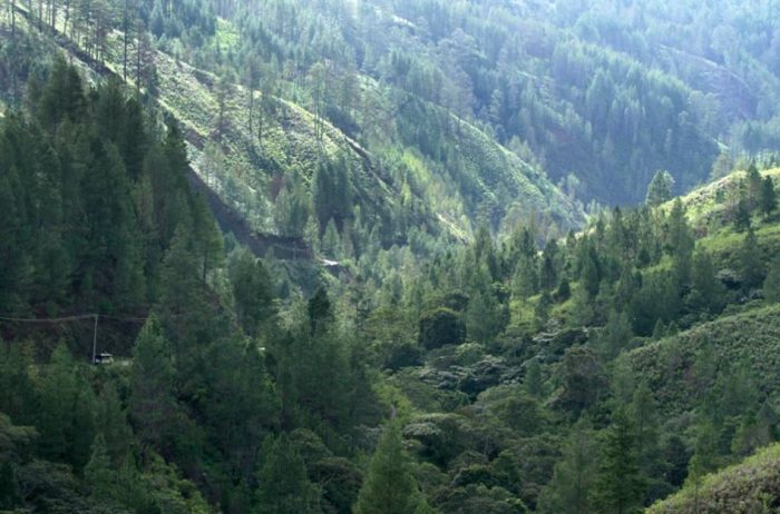  Indonesia merupakan salah satu negara yang memiliki banyak gunung berapi 45 Gunung Tertinggi di Indonesia yang Wajib Kamu Daki (Rekomended)