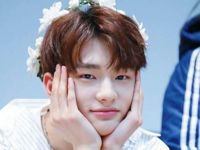 Biodata Stray Kids Biodata Stray Kids