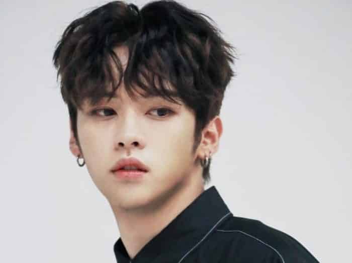 Biodata Stray Kids Biodata Stray Kids