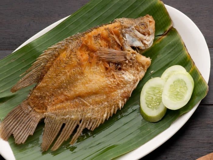  dengan anekaragam karya alamnya termasuk jenis ikan yang begitu beragam IKAN GURAME : Cara Merawat, Budidaya, Pakan, Harga Jual (Lengkap)