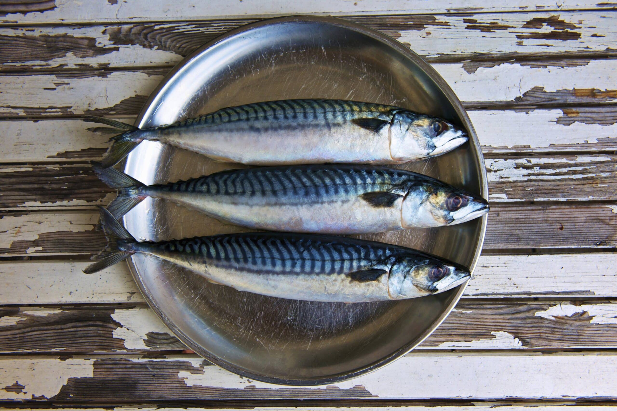 Manfaat Ikan Tenggiri - Thegorbalsla