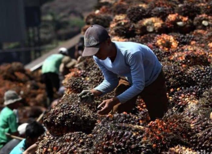  Afrika merupakan sebuah nama benua yang terletak di Eropa PETA BENUA AFRIKA : Kekayaan Alam, Batas Wilayah, Budaya