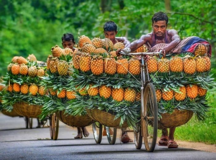 PETA ASIA  TENGGARA  Kekayaan Alam Batas Wilayah Kebudayaan