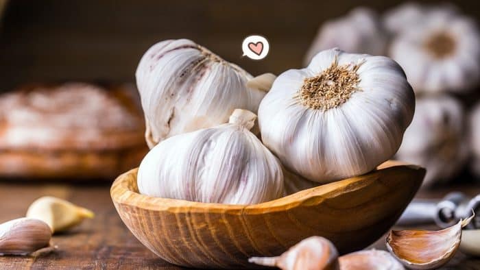 14 Cara Menanam Bawang Putih (Lengkap dengan gambar dan deskripsi)