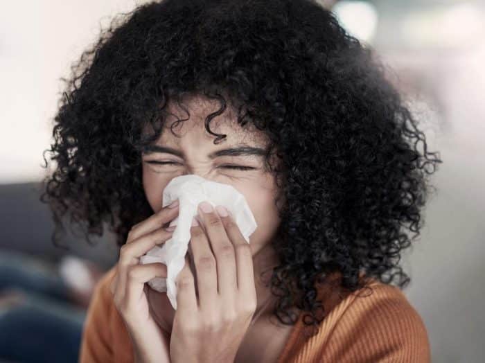 Cara Meracik Sambiloto untuk Influenza