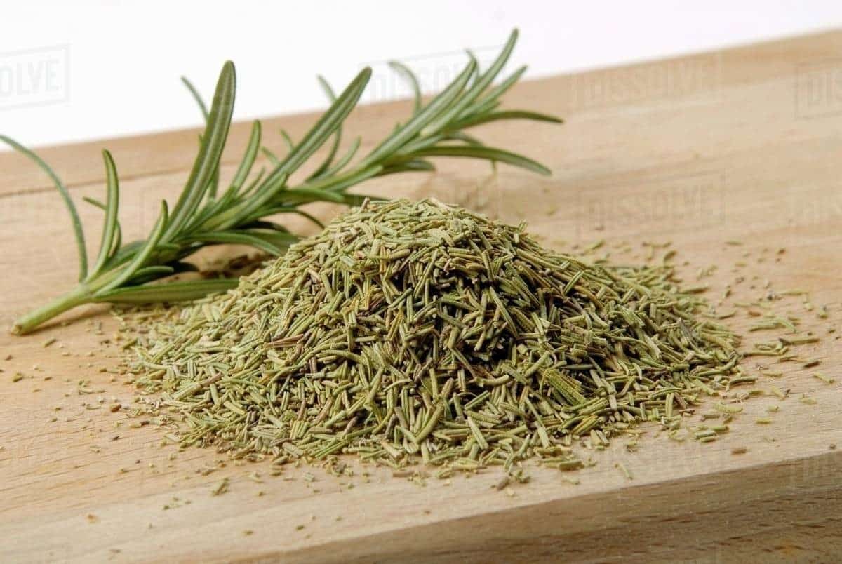 How To Dry Fresh Rosemary Thegorbalsla   How To Dry Fresh Rosemary 