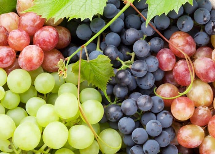 Manfaat Tanaman Anggur