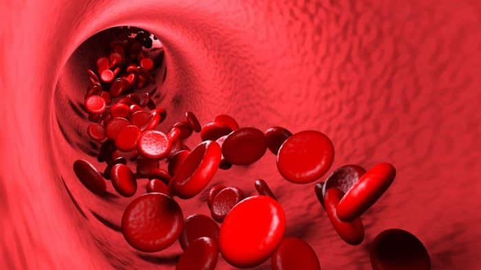 4. Memperlancar Sirkulasi Darah