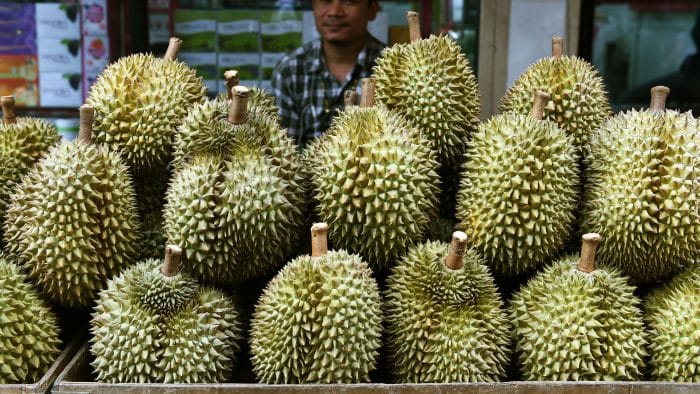 Mengenal Jenis-Jenis Durian