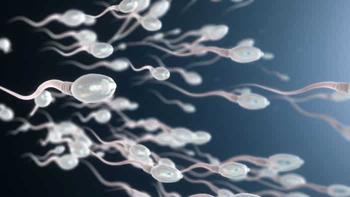 Meningkatkan Kualitas Sperma