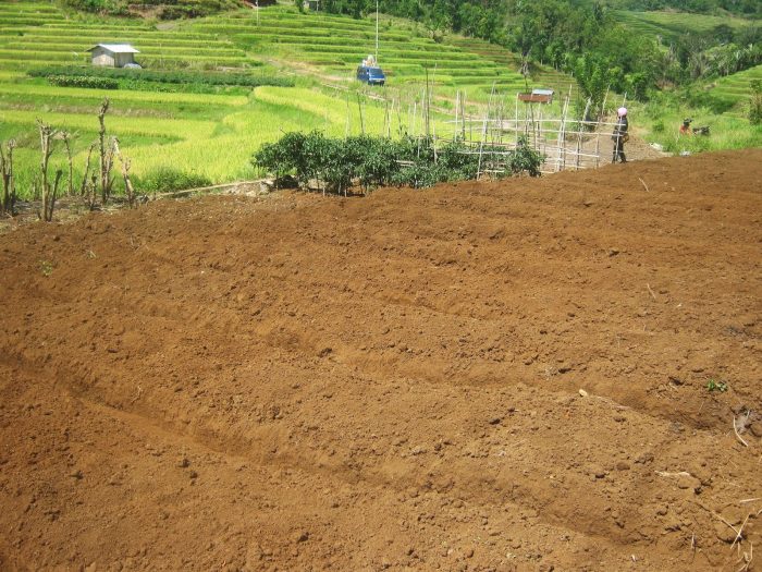 Menyiapkan lahan Menyiapkan lahan