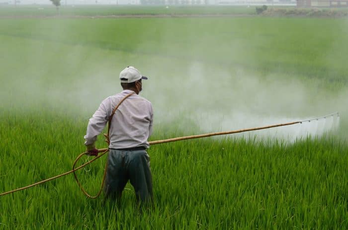 Pestisida dan insektisida