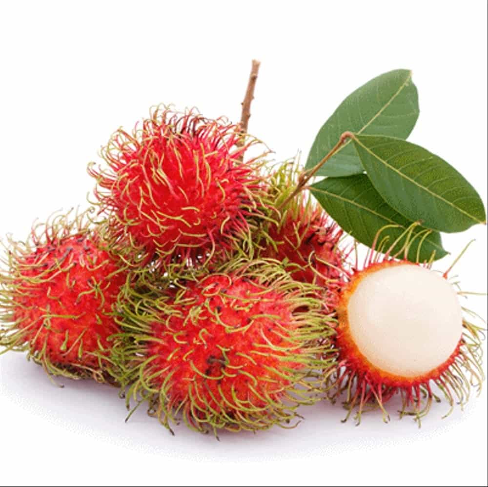  Rambutan  Thegorbalsla