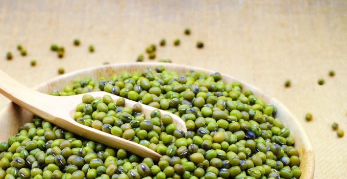 Cara Menanam Kacang Hijau Yang Hasilnya Bisa Membeli Rumah Mewah