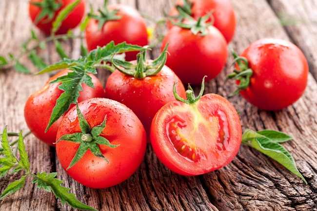 10+ Tanaman Tomat : Sejarah, Klasifikasi, Morfologi, Jenis-jenis dan Teknik Budidaya