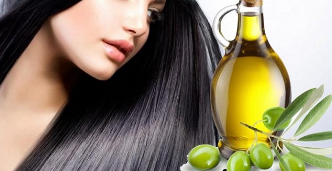 Manfaat minyak zaitun untuk rambut